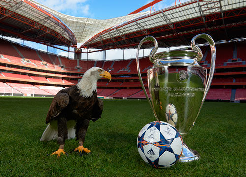 马祖拉谈塔图姆本赛季能否复出：一切取决于他自己（马祖拉：塔图姆本赛季能否复出取决于他自己）