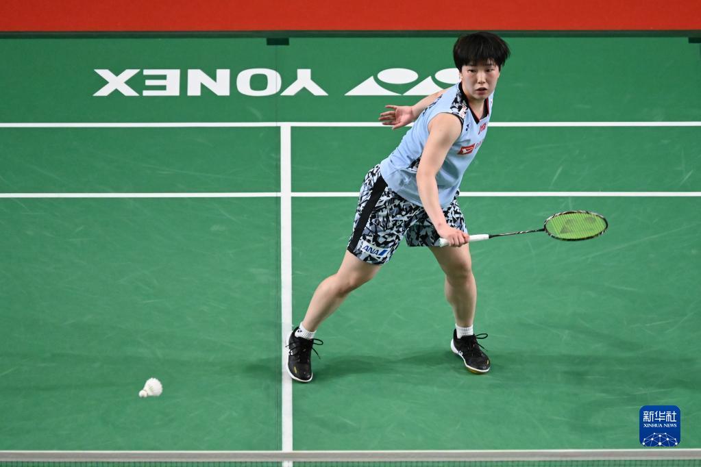 家易主的进 家易主的进